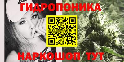 Альфа ПВП Кандалакша