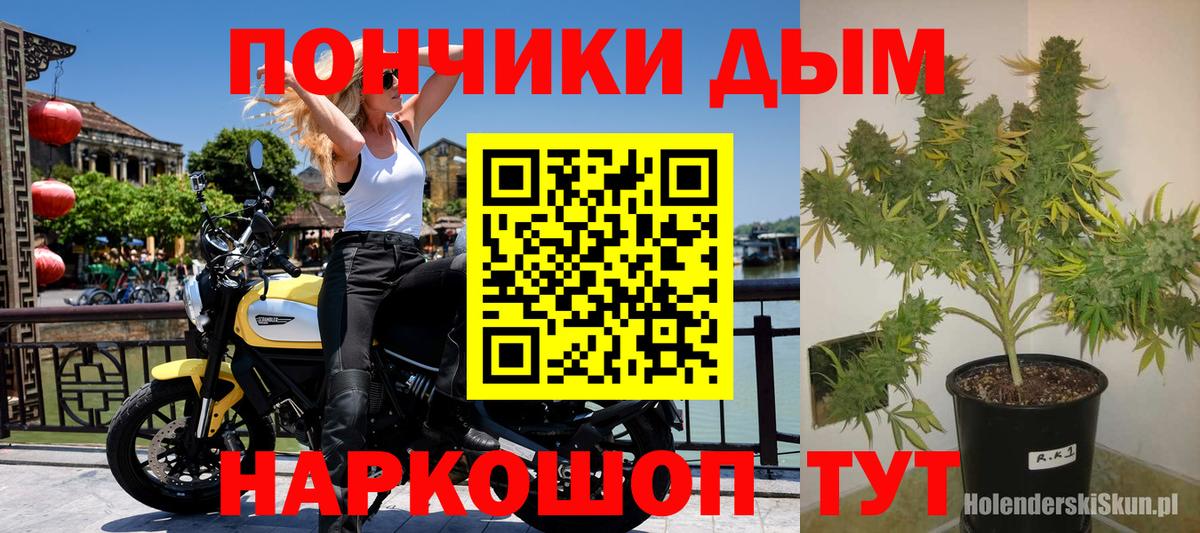Шишки марихуана White Widow  Вход с VPN  Марихуана OG Kush  Бошки Шишки тримм  Ленинск-Кузнецкий 